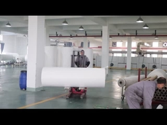 ফ্লু গ্যাস চিকিত্সা